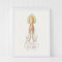 white framed vintage squid print wall art